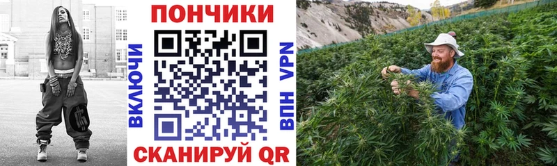 Конопля гибрид  продажа наркотиков  Игра 